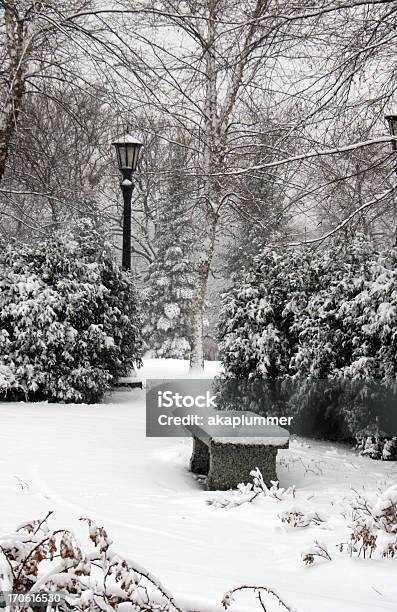 Лабораторные Кустарники И Lamppost Из Белоснежного Лесной Зоне — стоковые фотографии и другие картинки Вертикальный