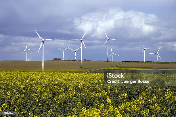 Energia Eolica E Campi Di Colza - Fotografie stock e altre immagini di Agricoltura - Agricoltura, Ambientazione esterna, Ambiente