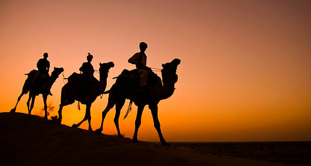 caravan - india travel journey camel foto e immagini stock