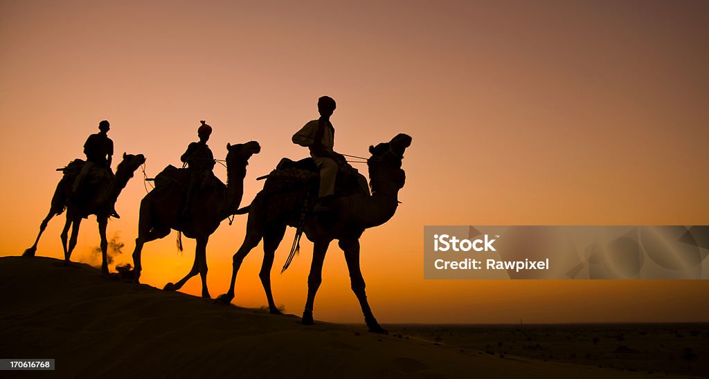 Caravan camel safari in the desert. (three wise men). Three Wise Men Stock Photo