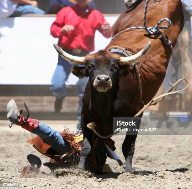 Grande Bull Media - Fotografie stock e altre immagini di Rodeo - Rodeo, Toro - Bovino, Largo - Descrizione generale