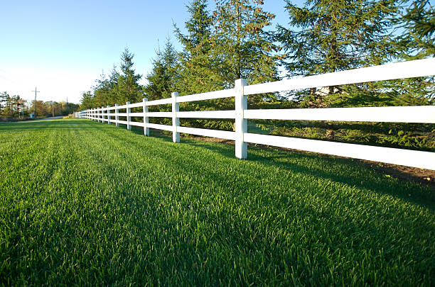 valla blanca - garden fence fotografías e imágenes de stock