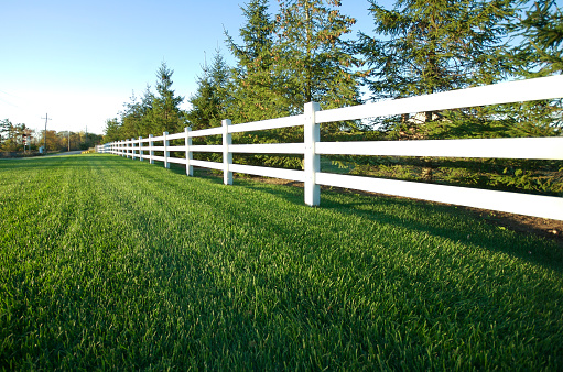 White fence with grass on a sunny afternoon.
