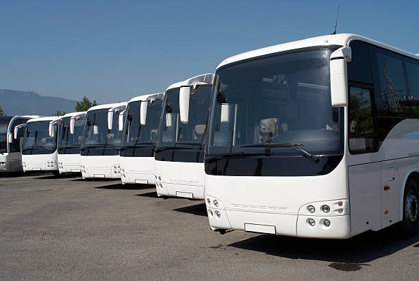 istock Series of white buses in perspective 170617049