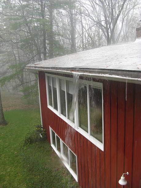 obstruída sarjeta downspout tempestade de chuva casa - cottage autumn wood woods imagens e fotografias de stock