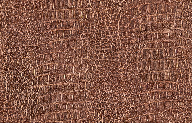 Hi-Res Crocodile (Alligator) Brown Leather Seamless Texture Tile stock photo