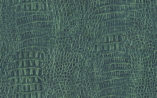 This large, High Resolution old crocodile dark Kelly Green leather Seamless texture tile, defined with exceptional detail and richness, is very handy for implementation in various 2-D and 3-D CG Projects. Thank you for checking it out!.