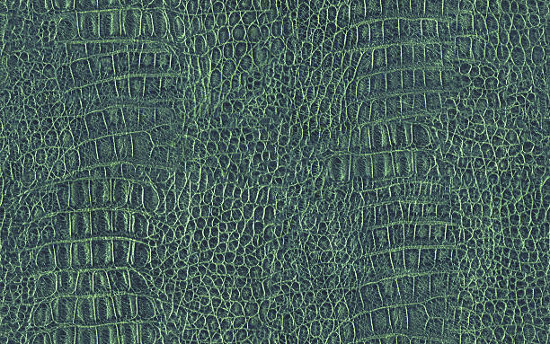 hi-res alligator skin kapiąca zielona tekstura kafelek - leather green hide textured effect zdjęcia i obrazy z banku zdjęć