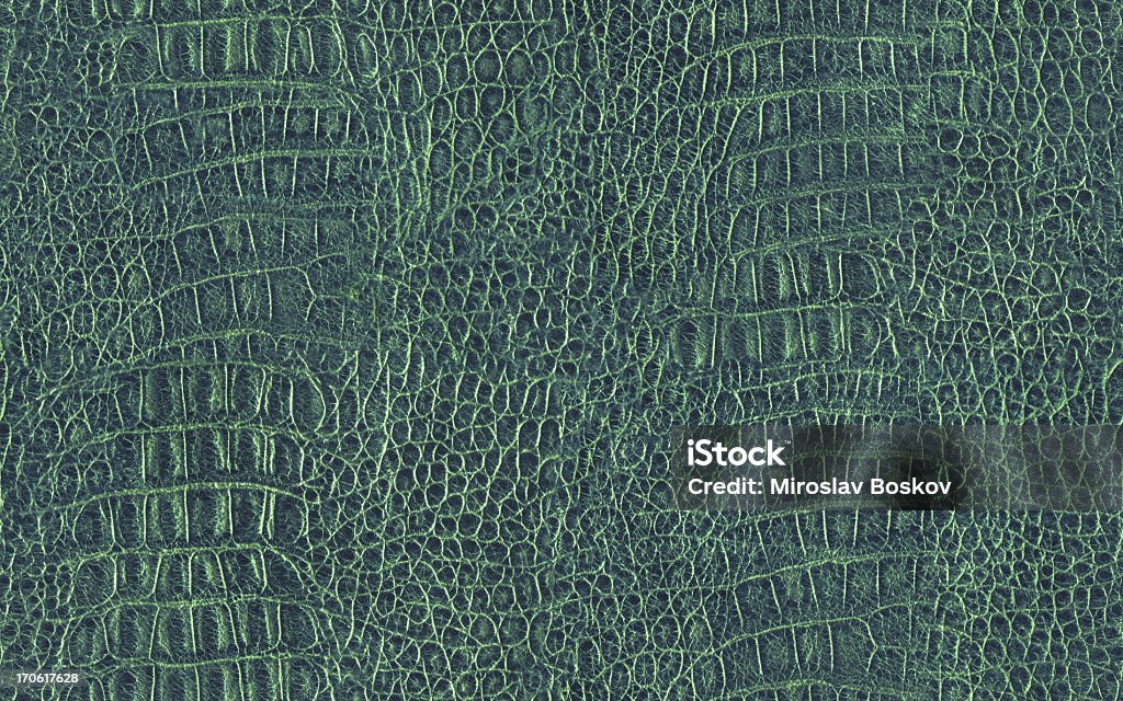 Hi-Res Alligator pele textura de azulejos verde sem costura - Foto de stock de Texturizado - Descrição Geral royalty-free