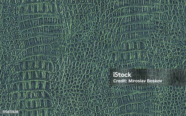 Foto de Hires Alligator Pele Textura De Azulejos Verde Sem Costura e mais fotos de stock de Texturizado - Descrição Geral