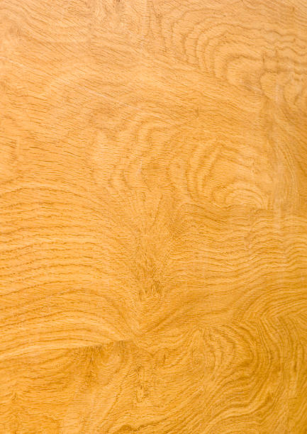 wood grain - wood birch wood grain textured stock-fotos und bilder
