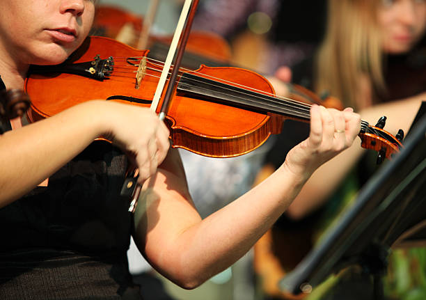 istock Musicians playing in concert....violinist 170618462