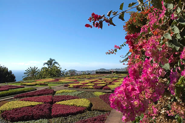 Botanical Garden at Funchal, Madeira.