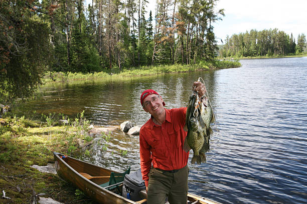 Fisherman with stringer of huge slab Crappies. Most are over 1 pound each.