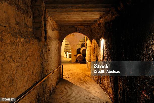 Hallway Of A Vintage Wine Cellar Stock Photo - Download Image Now - Barrel, Port Wine, Retro Style