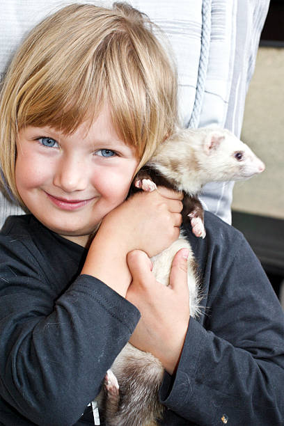 istock Child holding her pet ferret as her friend 170619121