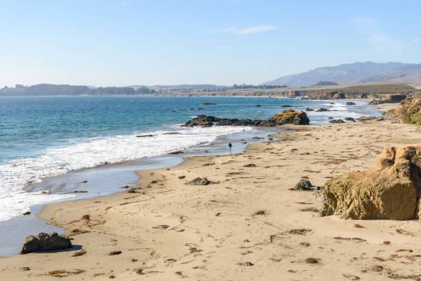 istock Lonely woman strolling along a sandy beach on a clear autumn day 1706192077