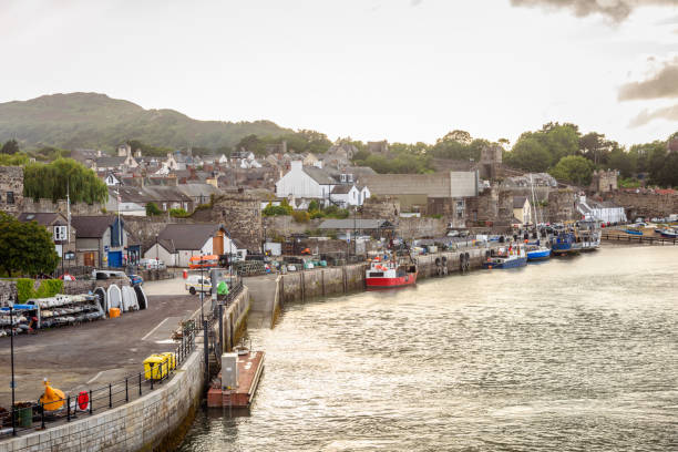 istock Fishing harbour at sunset in summer 1706193219