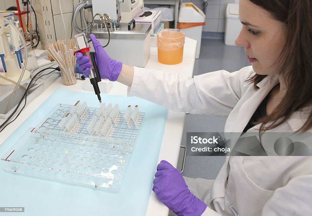 Magnifique techniciens au travail dans un laboratoire. Banque de sang - Photo de Analyser libre de droits