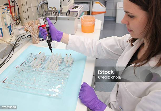 Photo libre de droit de Magnifique Techniciens Au Travail Dans Un Laboratoire Banque De Sang banque d'images et plus d'images libres de droit de Analyser