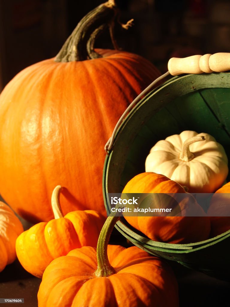 Assorted pumpkins III Thanksgiving Composition of assorted pumpkins. Autumn Stock Photo