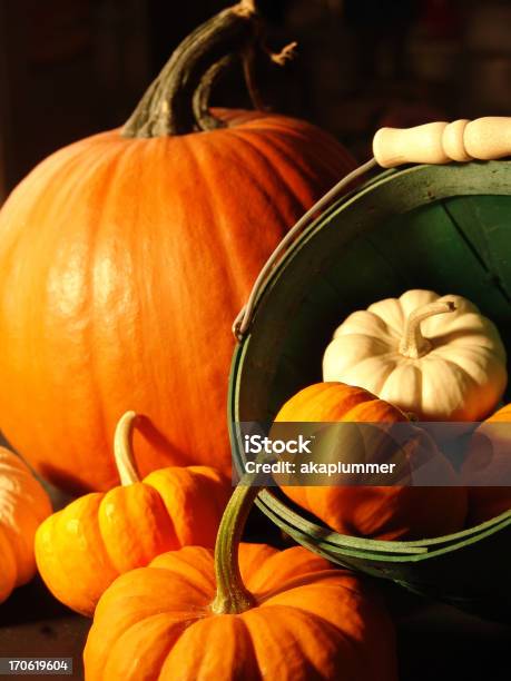 Assorted Pumpkins Iii Stock Photo - Download Image Now - Autumn, Colors, Composition