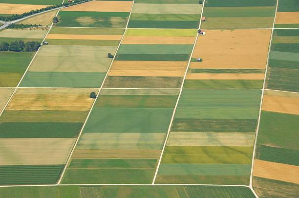 istock Aerial view of gridded farmlands 170619892