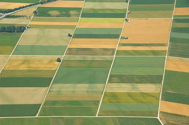 Aerial view of gridded farmlands stock photo
