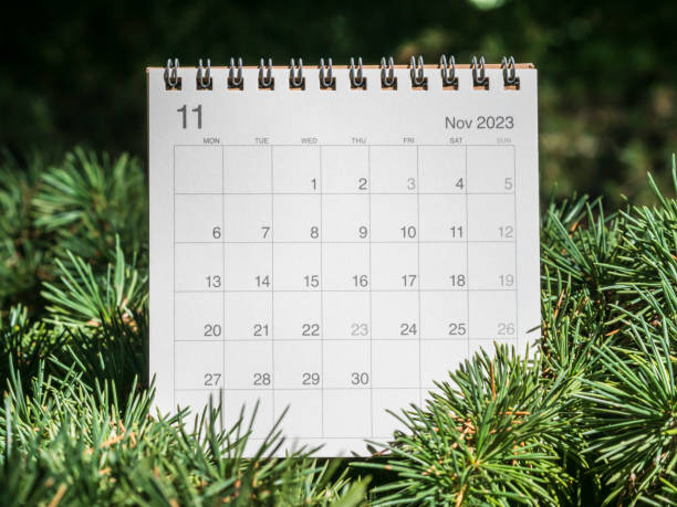 istock Desk calendar, November 2023 1706199022