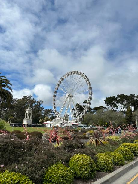 istock San Francisco park California Ferris wheel greenery 1706199029