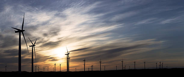 Field of Wind turbines, in Silhouette, panorama stock photo