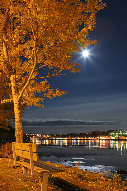 nächtlicher-szene mit parkbank zusammen saguenay river in chicoutimi - chicoutimi travel locations nature city stock-fotos und bilder