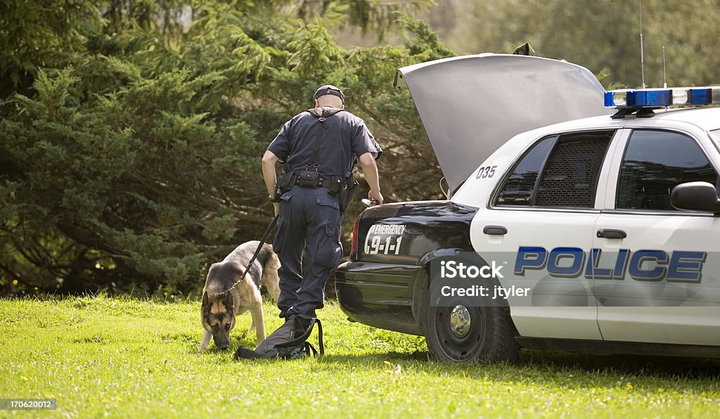 Cão da Polícia - Royalty-free Força policial Foto de stock