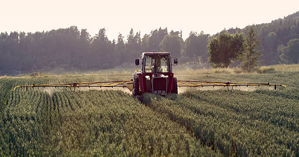 Tractor spraying crop, field sprayer stock photo