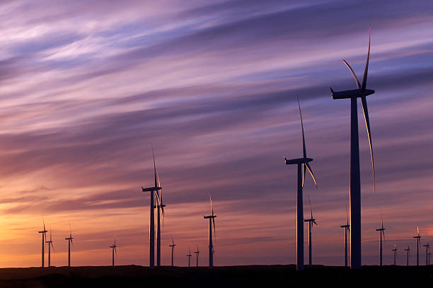 Wind turbines in a wind farm harvesting clean energy  stock photo