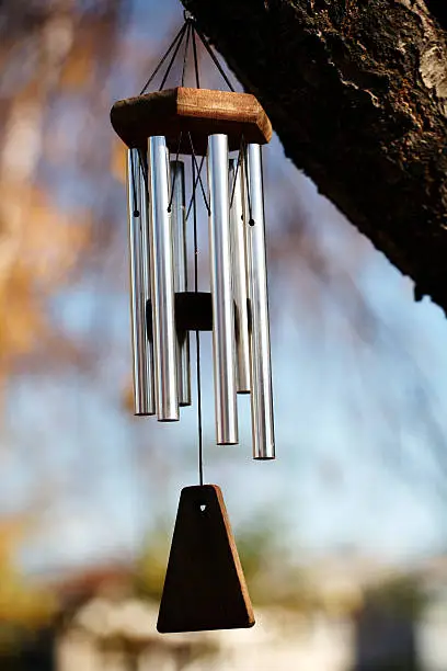 windchimes in a tree.