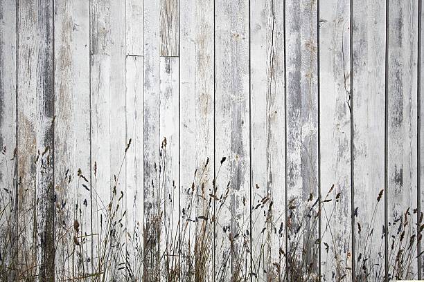 White weathered planks with stray background stock photo