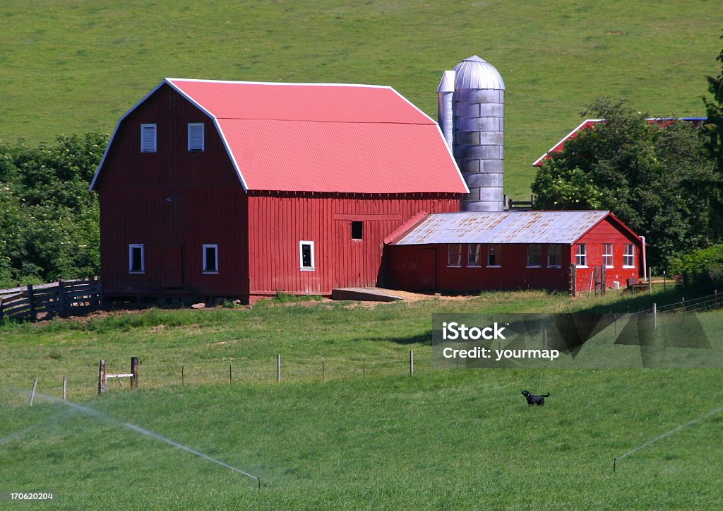 It's a dog's life - Lizenzfrei Oregon - US-Bundesstaat Stock-Foto