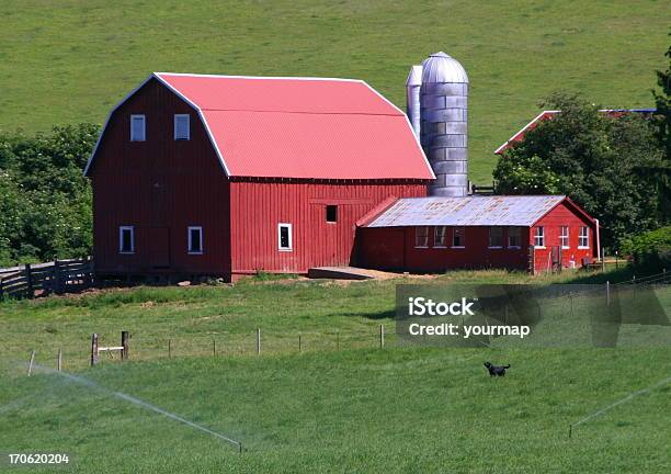 Its A Dogs Life Stockfoto und mehr Bilder von Oregon - US-Bundesstaat - Oregon - US-Bundesstaat, Scheune, Agrarbetrieb