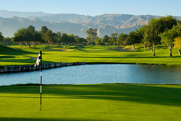 golf resort palm springs - golf landscape golf course tree stock-fotos und bilder