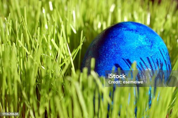 Uovo Di Pasqua - Fotografie stock e altre immagini di Uovo di Pasqua - Uovo di Pasqua, Erba, Prateria - Campo