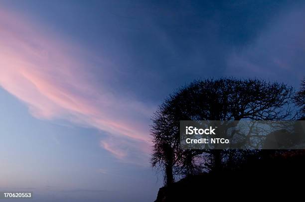 Las Perlas Arcipelago - Fotografie stock e altre immagini di Albero - Albero, Ambientazione esterna, America Centrale