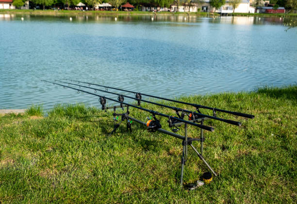 Free Stock Photo of Group of Fishing Rods Next to Sign | Download Free ...