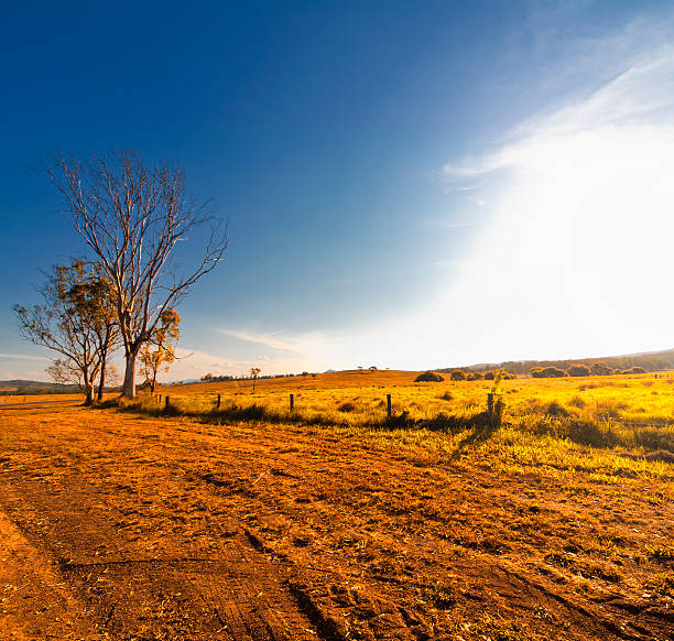 rural estrada em terra batida - grandchester imagens e fotografias de stock