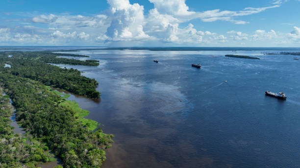 istock Stunning landscape of Amazon Forest at Amazonas State Brazil. 1706234886
