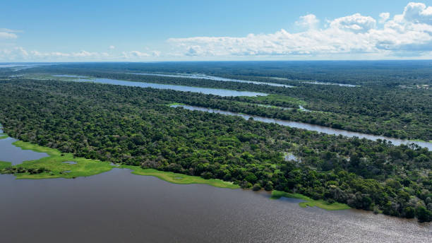 istock Stunning landscape of Amazon Forest at Amazonas State Brazil. 1706241919