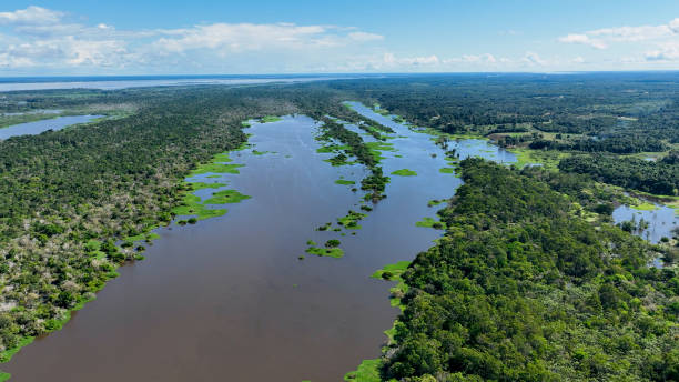 istock Stunning landscape of Amazon Forest at Amazonas State Brazil. 1706243105