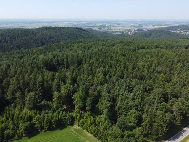 istock Aerial view of Bavaria, Germany, with forests and fields 1706251403