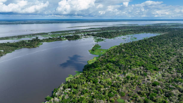 istock Stunning landscape of Amazon Forest at Amazonas State Brazil. 1706254806