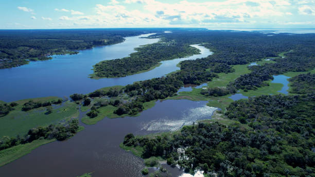 istock Stunning landscape of Amazon Forest at Amazonas State Brazil. 1706255348
